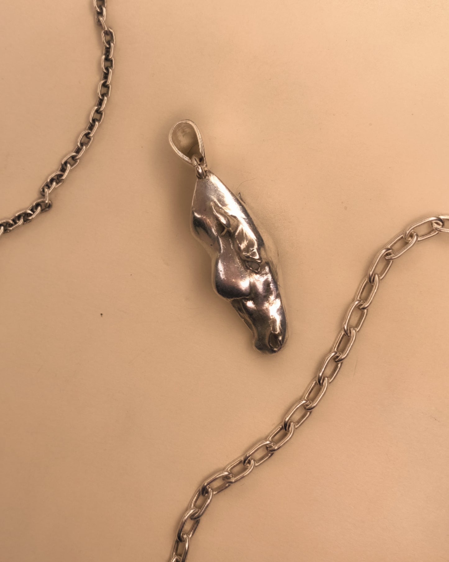 You Can Lead a Horse to Water Necklace